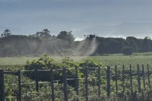 AgroDrone Servicio de Pulverización con Drones Agricolas