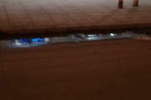 Alzugaray Hogar Oro Verde Grupo Gaona