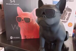 Bg Pinamar Computación y Celulares