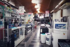 Bringeri Excomforama