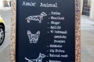 Camgear Computadoras Insumos Ppc