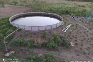 CASTILLOServicioacampo