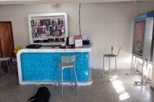 Cesar Telefonia Celular