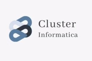 Cluster informatica