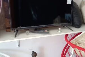 Dulces Sueños Hogar