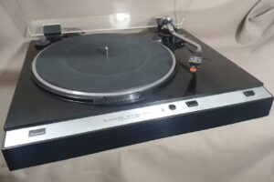 El Mercader de San Telmo Solo Cita Previa Llamanos