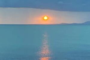 El Nuevo Siglo Servicios Informáticos