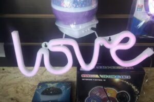 Electronica y multirubro Bolucosas