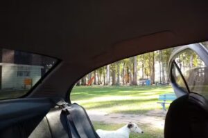 Elortondo Informatica