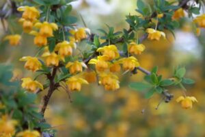 Foto Express Ushuaia