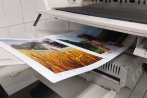 Fotolaboratorio Román Sa