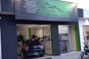 Jaguar Car Audio