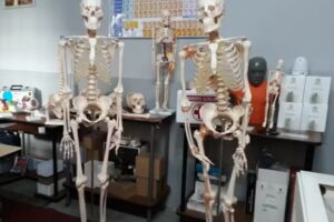 La Clase Digital Rosario