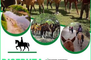 Max Fotografías Diseños e impresiones