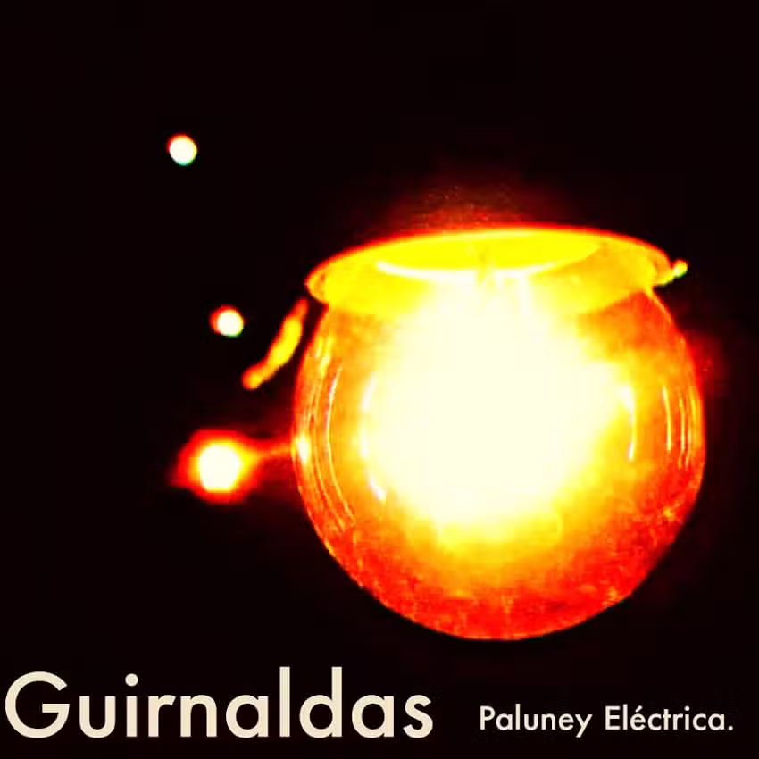 Paluney Eléctrica