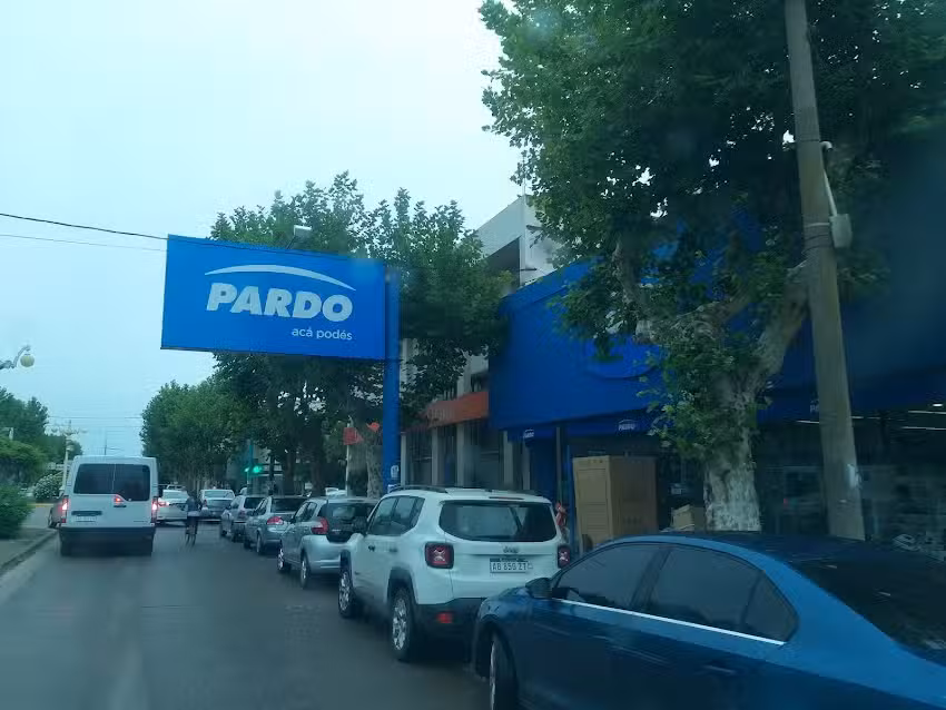 Pardo
