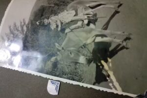 Sector Cero Tintas Toners