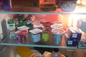 Servicio Informatico