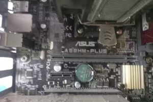 Tazmania Computación