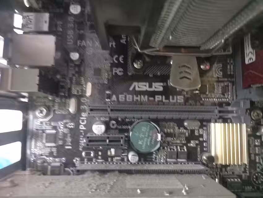 Tazmania Computación