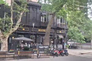 The Musical Experience