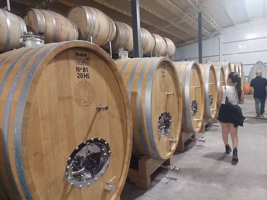 Tricomp Servicio Técnico