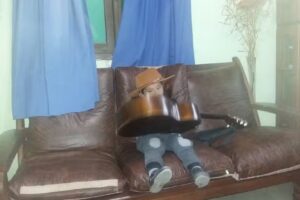 Video Cable Silver Chanel