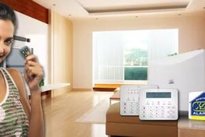 X28 Alarmas Electrónica Central San Luis