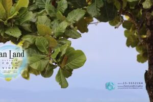 Yan Land Estudio Fotográfico y Audiovisual